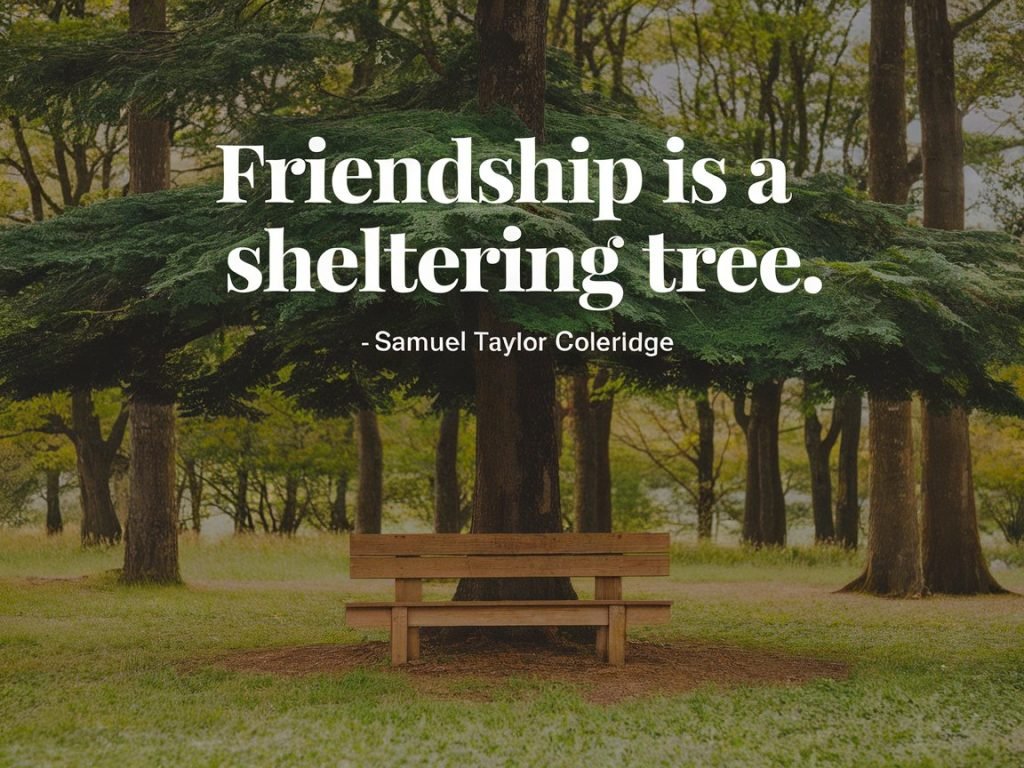 A serene park scene with a wooden bench under a large tree, accompanied by the quote “Friendship is a sheltering tree” by Samuel Taylor Coleridge.